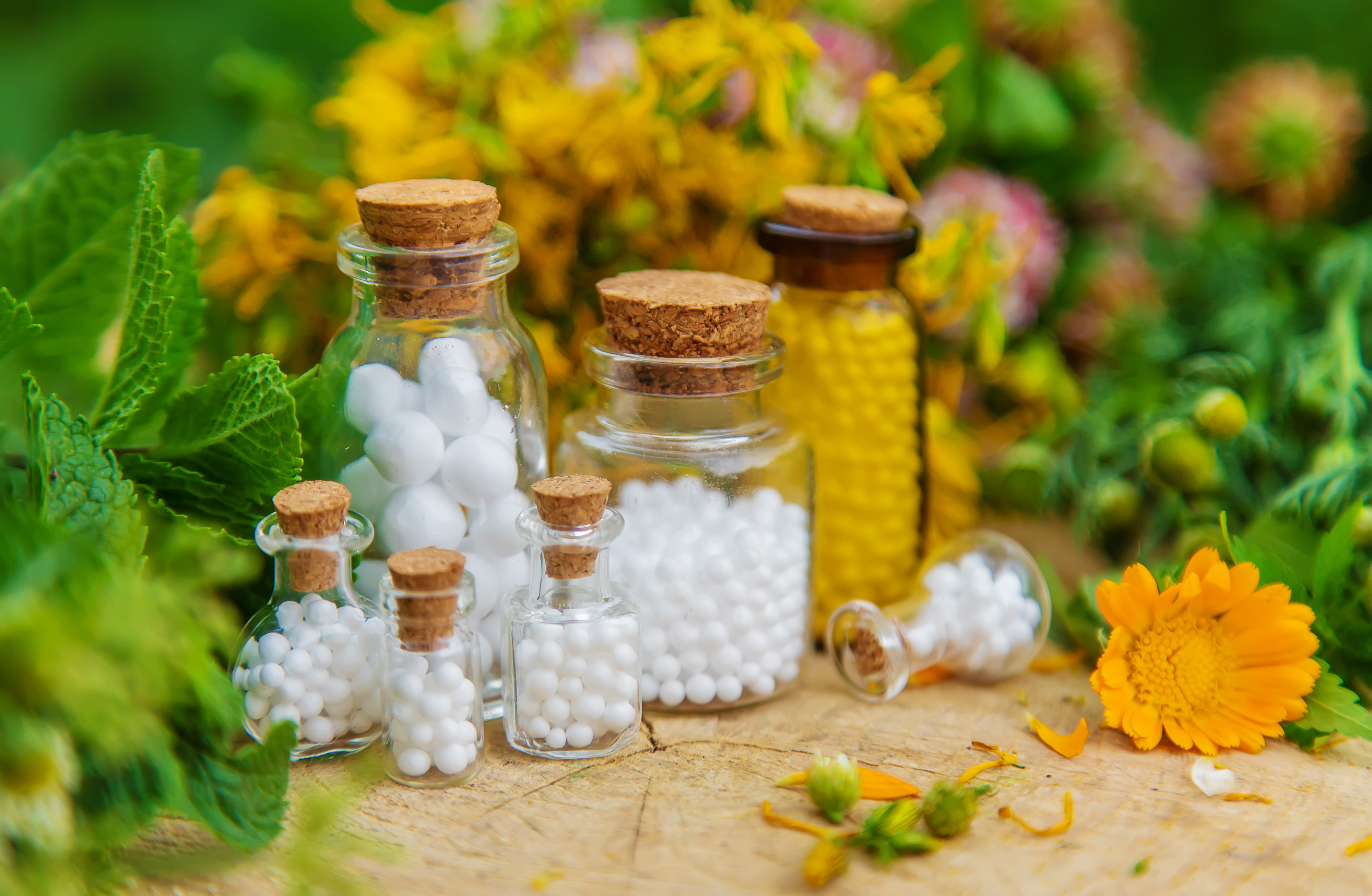 Homeopatia em Presidente Prudente - luzMed Blog